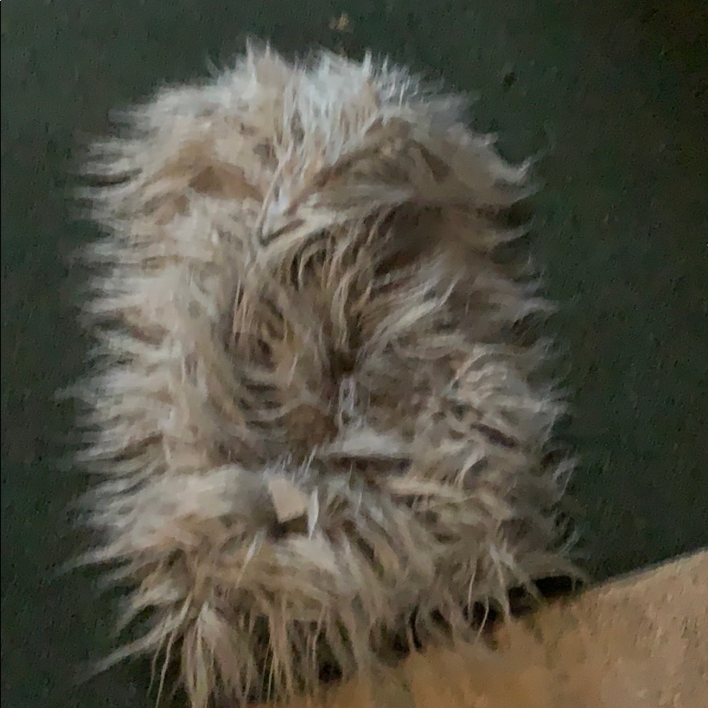 Scarf